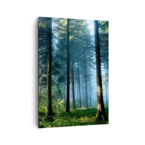 Quadro su tela - Stampe su Tela - Un sentiero nel bosco illuminato dai raggi del sole mattutino - 50x70cm - Raggiante all'alba - Decorazione murale moderna per soggiorno e camera da letto ARTTOR