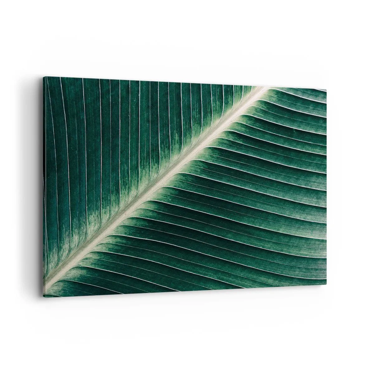 Quadro su tela - Stampe su Tela - Primo piano della struttura di una foglia verde - 100x70cm - Il ritmo della natura - Decorazione murale moderna per soggiorno e camera da letto ARTTOR