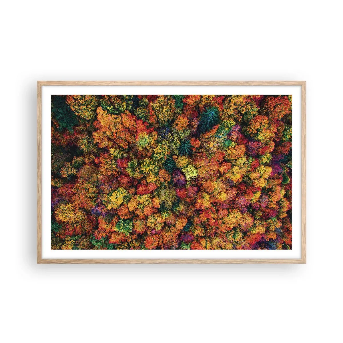 Poster in cornice rovere chiaro - Il bouquet degli alberi d'autunno - 91x61 cm