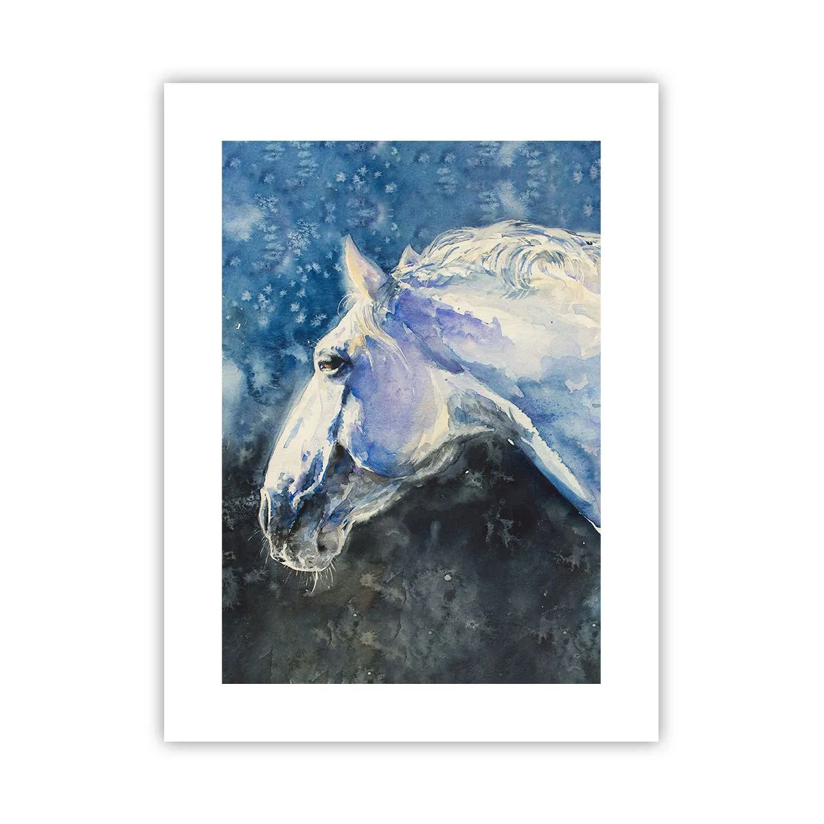 Poster - Ritratto in luce blu - 30x40 cm