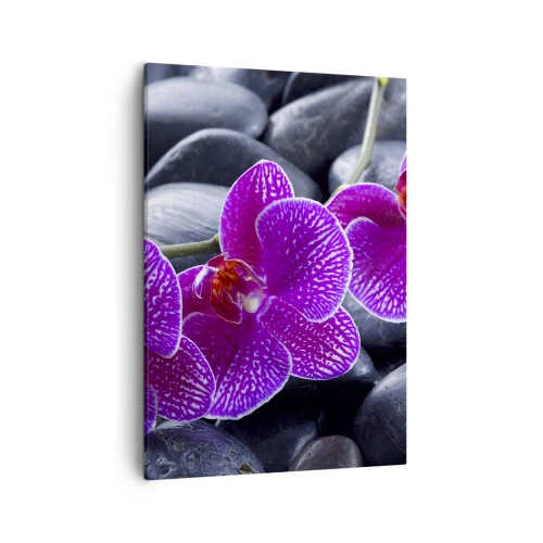 Quadro su tela - Stampe su Tela - Orchidee viola su uno sfondo di pietre nere - 50x70cm - Le pietre brillano di ammirazione - Decorazione murale moderna per soggiorno e camera da letto ARTTOR
