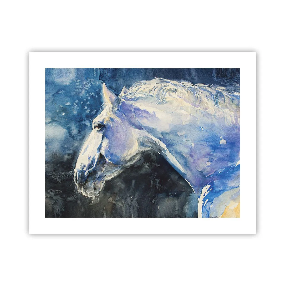 Poster - Ritratto in luce blu - 50x40 cm