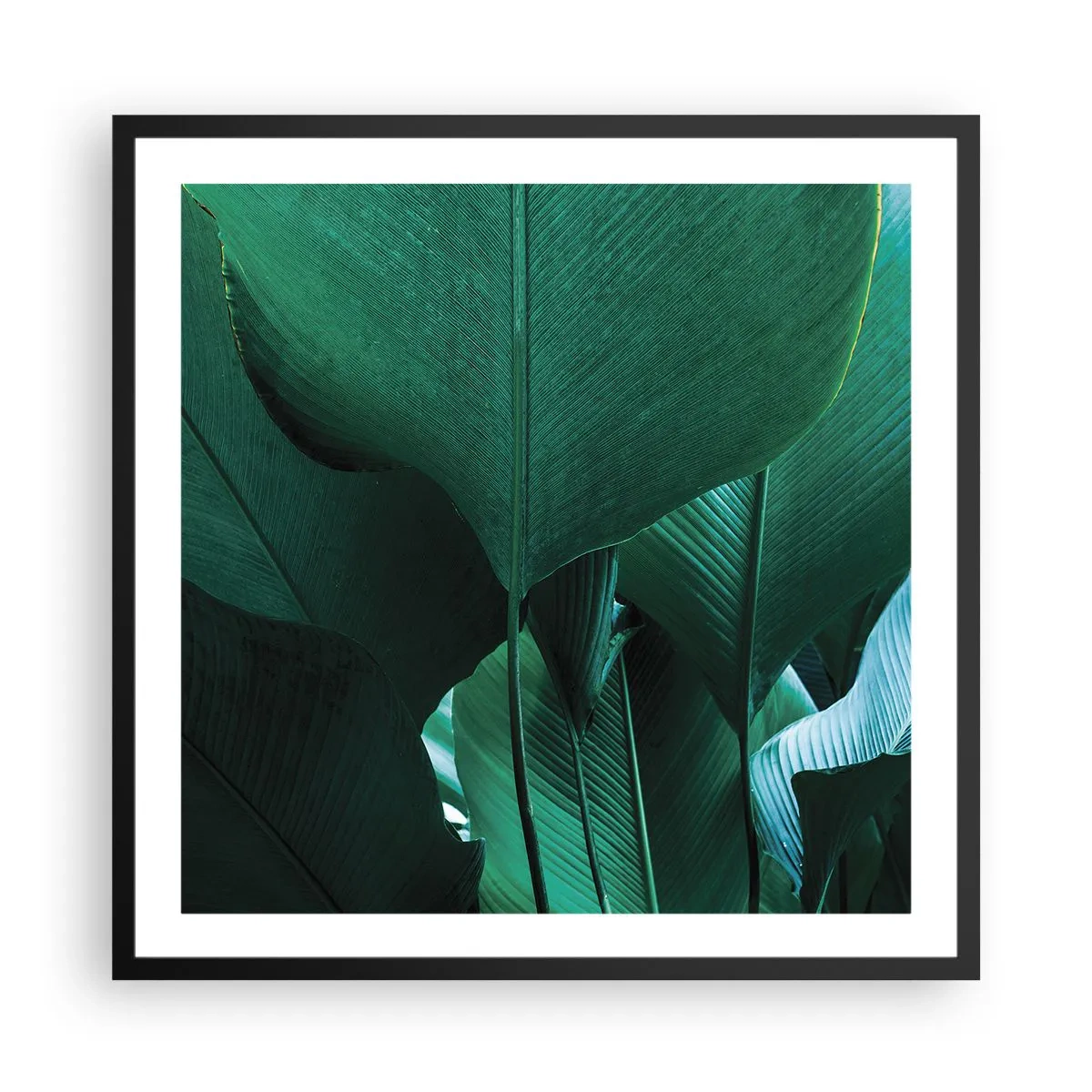 Poster in cornice nera - Verso la luce - 60x60 cm
