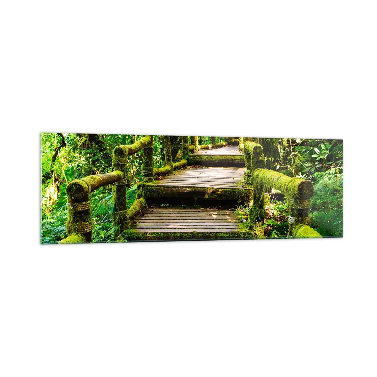 Quadro su vetro - Un ponte di legno ricoperto di muschio in una foresta pluviale tropicale - 160x50cm - Un corridoio nel verde - Decorazione murale moderna per soggiorno e camera da letto ARTTOR