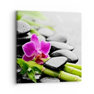 Quadro su tela - Stampe su Tela - Un tranquillo equilibrio - 30x30 cm