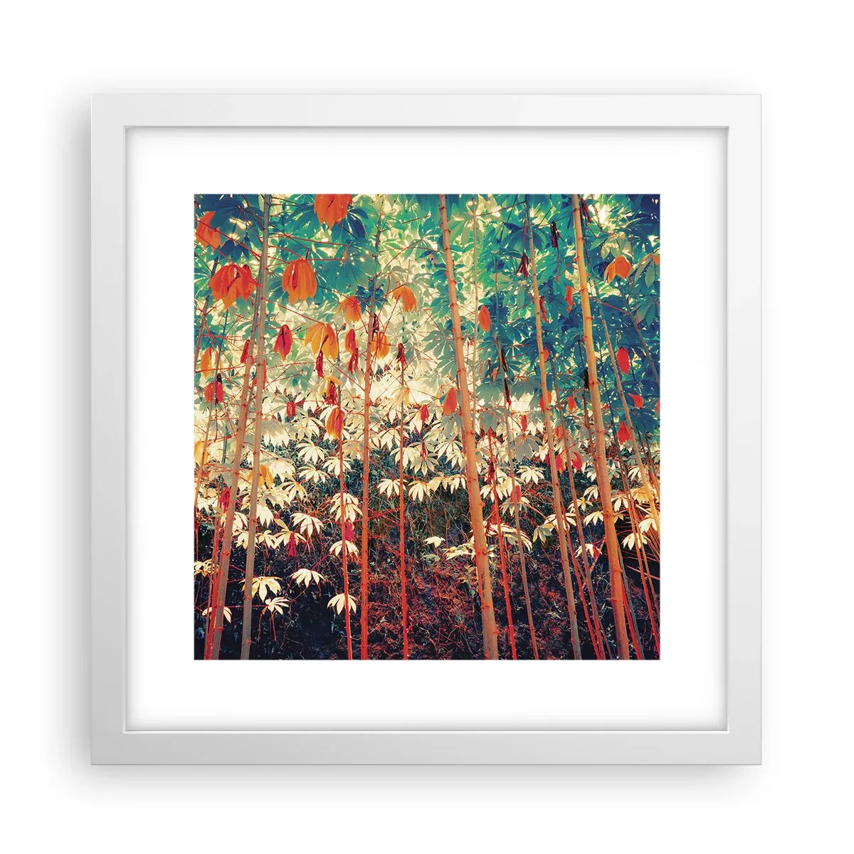 Poster in cornice bianca - La vita segreta delle foglie - 30x30 cm