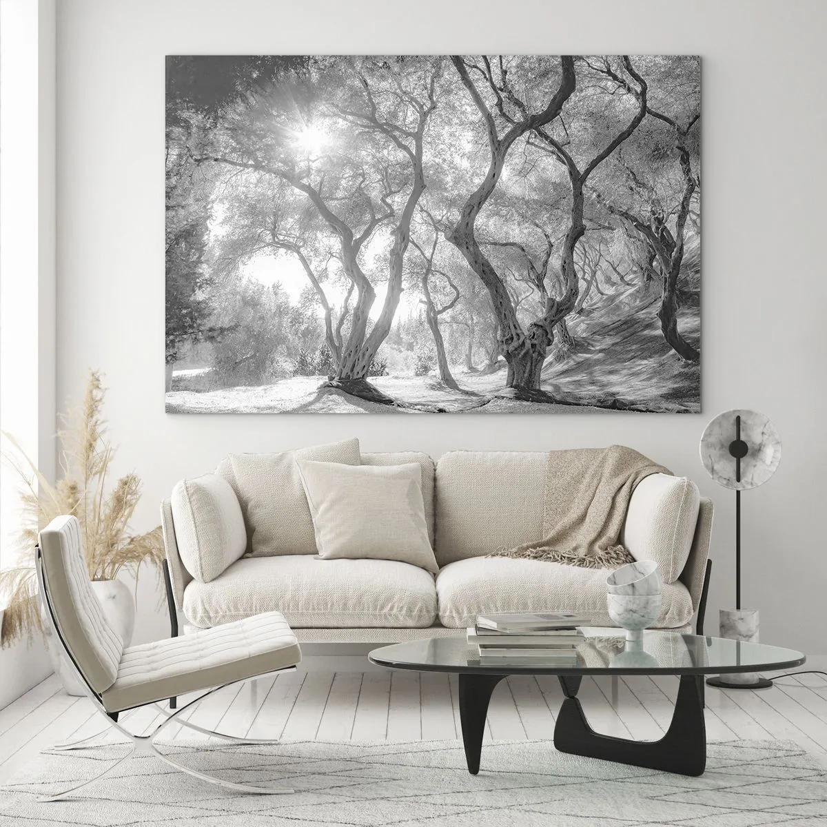 Quadro su vetro - Ulivi bianchi e neri alla luce del sole - 120x80cm - Nell'orto degli ulivi - Decorazione murale moderna per soggiorno e camera da letto ARTTOR
