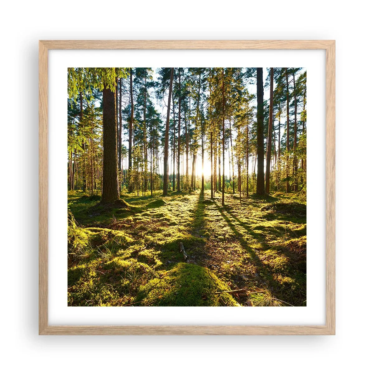 Poster in cornice rovere chiaro - …dopo sette foreste - 50x50 cm