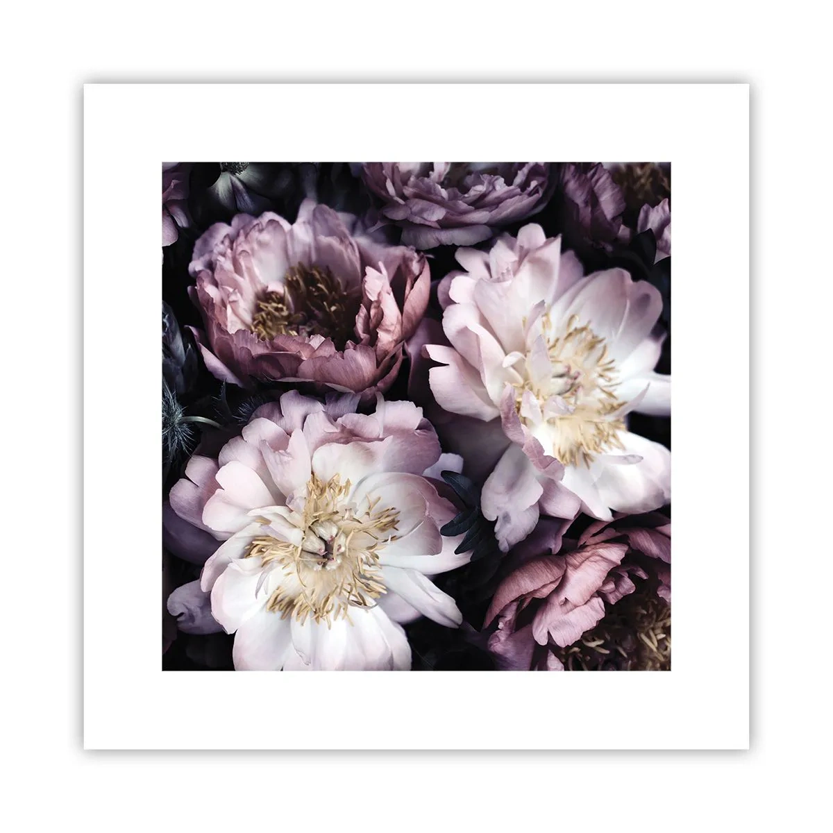 Poster - Bouquet nel vecchio stile - 30x30 cm