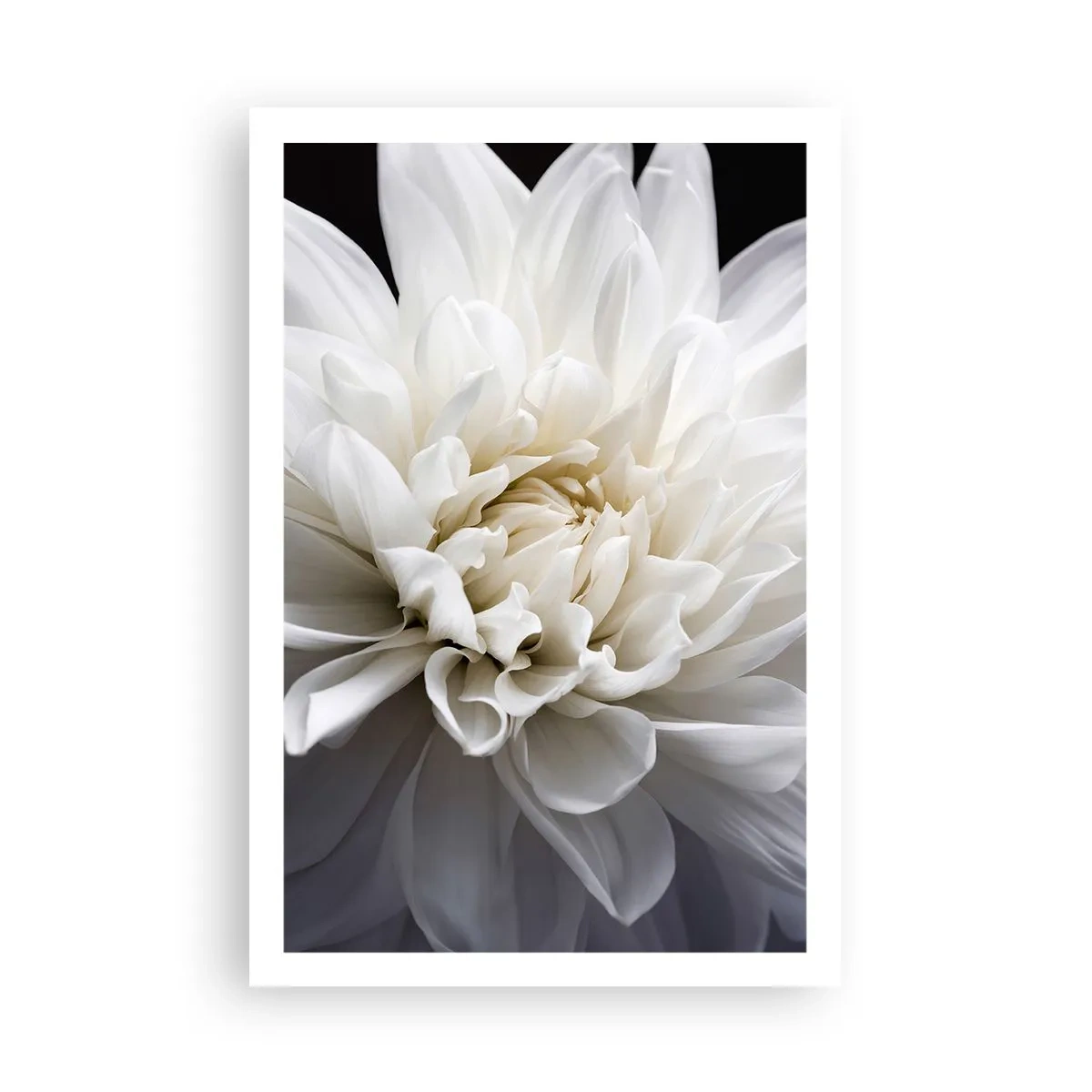 Poster - Il mattino della sposa - 61x91 cm