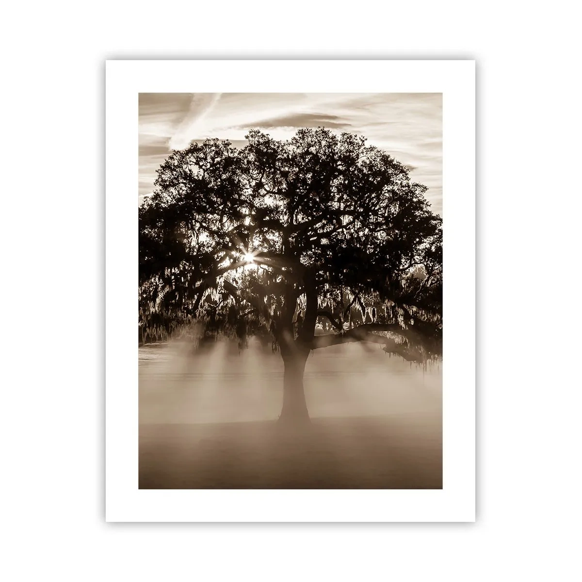 Poster - L'albero delle sole buone notizie - 40x50 cm