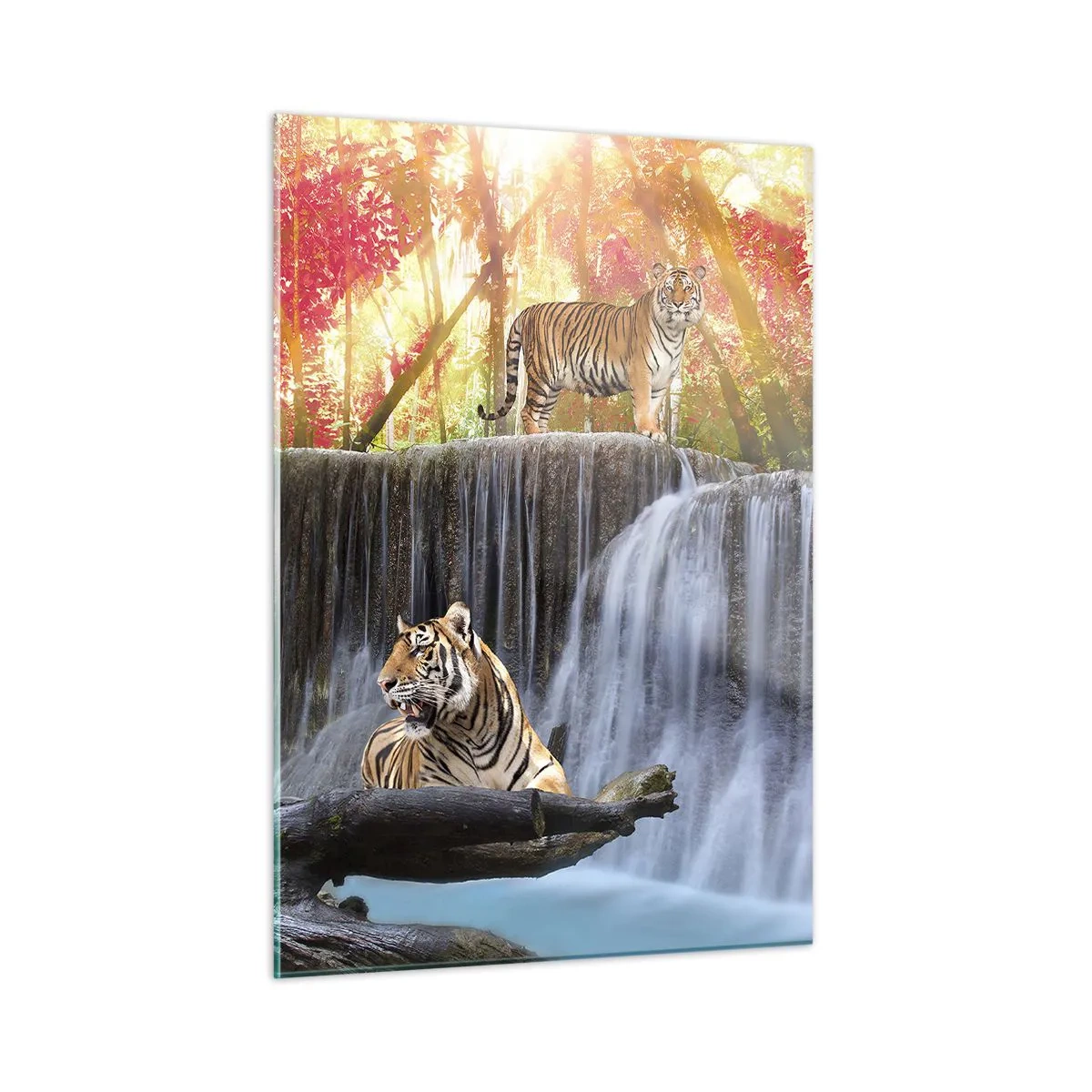 Quadro su vetro - Tigri contro una cascata e uno scenario autunnale - 50x70cm - Paesaggio surreale - Decorazione murale moderna per soggiorno e camera da letto ARTTOR