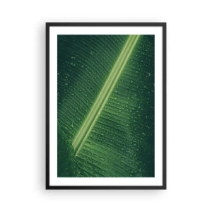 Poster in cornice nera - Primo piano di una foglia verde con gocce d'acqua - 50x70cm - La struttura del verde - Decorazione murale moderna per soggiorno e camera da letto ARTTOR
