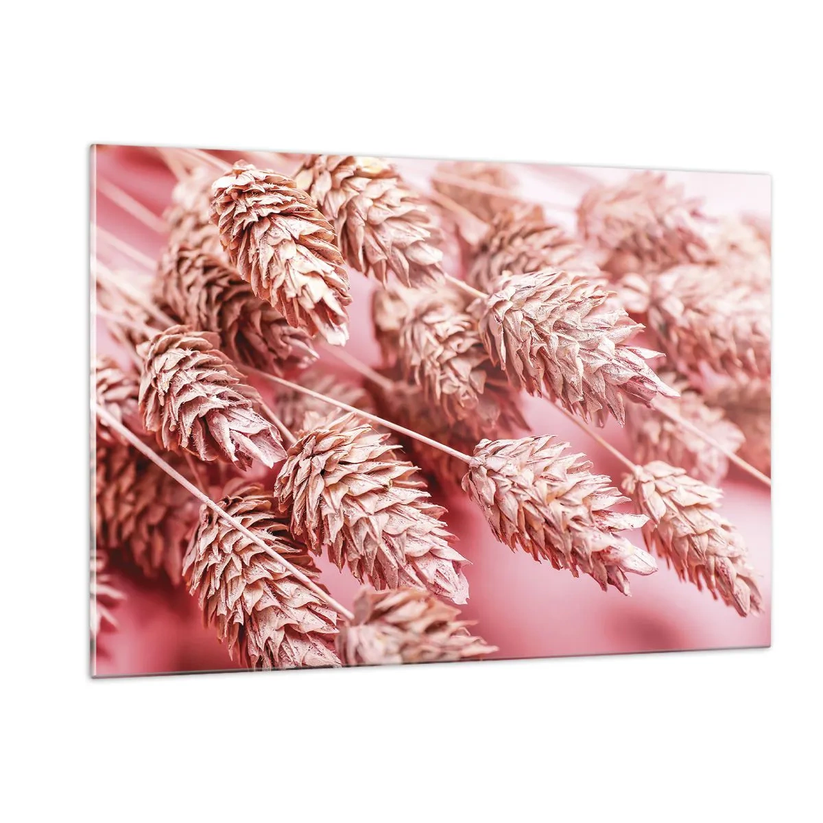 Quadro su vetro - Spighe di mais secche nei toni del rosa su sfondo pastello - 120x80cm - Cascata di fiori in rosa - Decorazione murale moderna per soggiorno e camera da letto ARTTOR