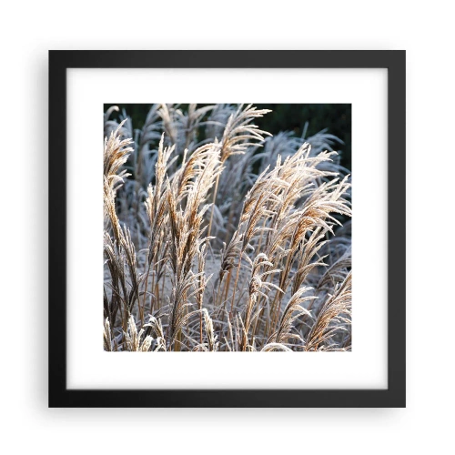 Poster in cornice nera - Vestite di brina - 30x30 cm