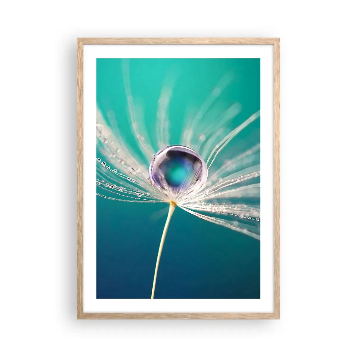 Poster in cornice rovere chiaro - Attimo mistico - 50x70 cm