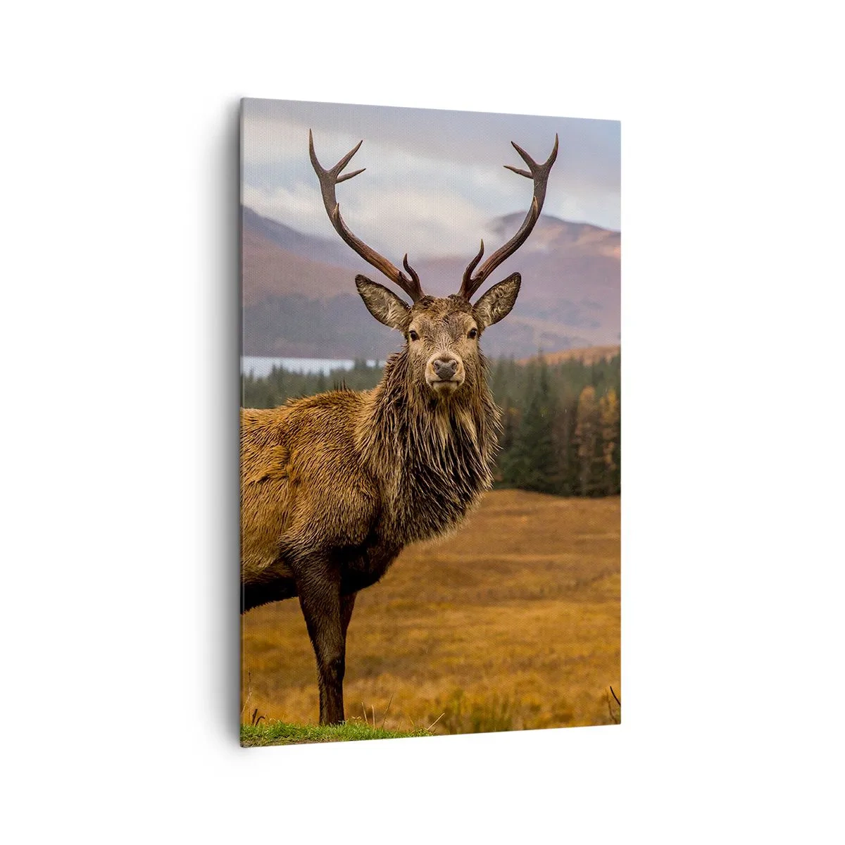 Quadro su tela - Stampe su Tela - Un cervo sullo sfondo di un paesaggio montano con laghi e foresta - 80x120cm - Maestà della natura - Decorazione murale moderna per soggiorno e camera da letto ARTTOR