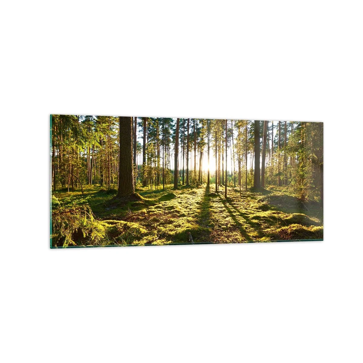 Quadro su vetro - Foresta verde illuminata dalla luce del sole sul muschio - 120x50cm - …dopo sette foreste - Decorazione murale moderna per soggiorno e camera da letto ARTTOR