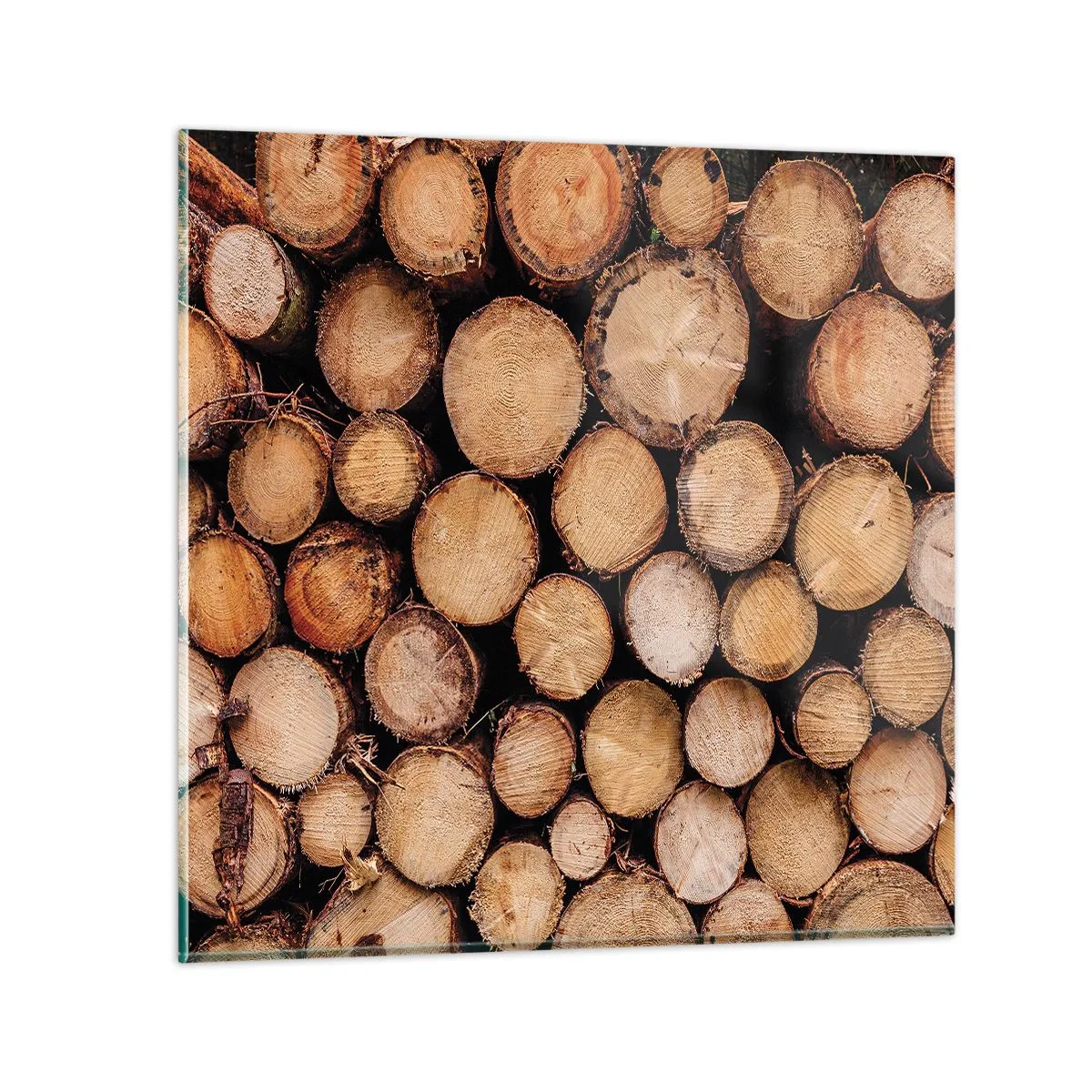 Quadro su vetro - Nuovo inizio - 70x70 cm