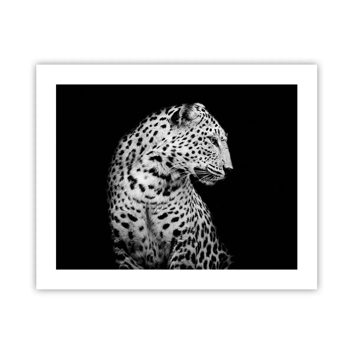 Poster - Profilo destro perfetto! - 50x40 cm