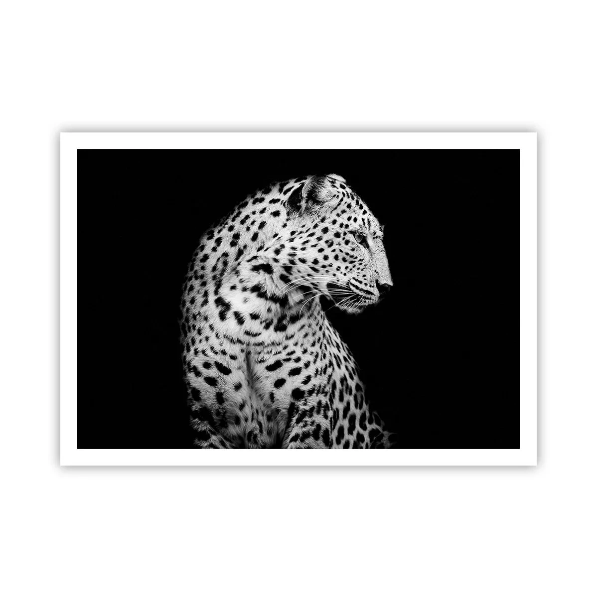 Poster - Immagine in bianco e nero di un leopardo su sfondo nero - 100x70cm - Profilo destro perfetto! - Decorazione murale moderna per soggiorno e camera da letto ARTTOR
