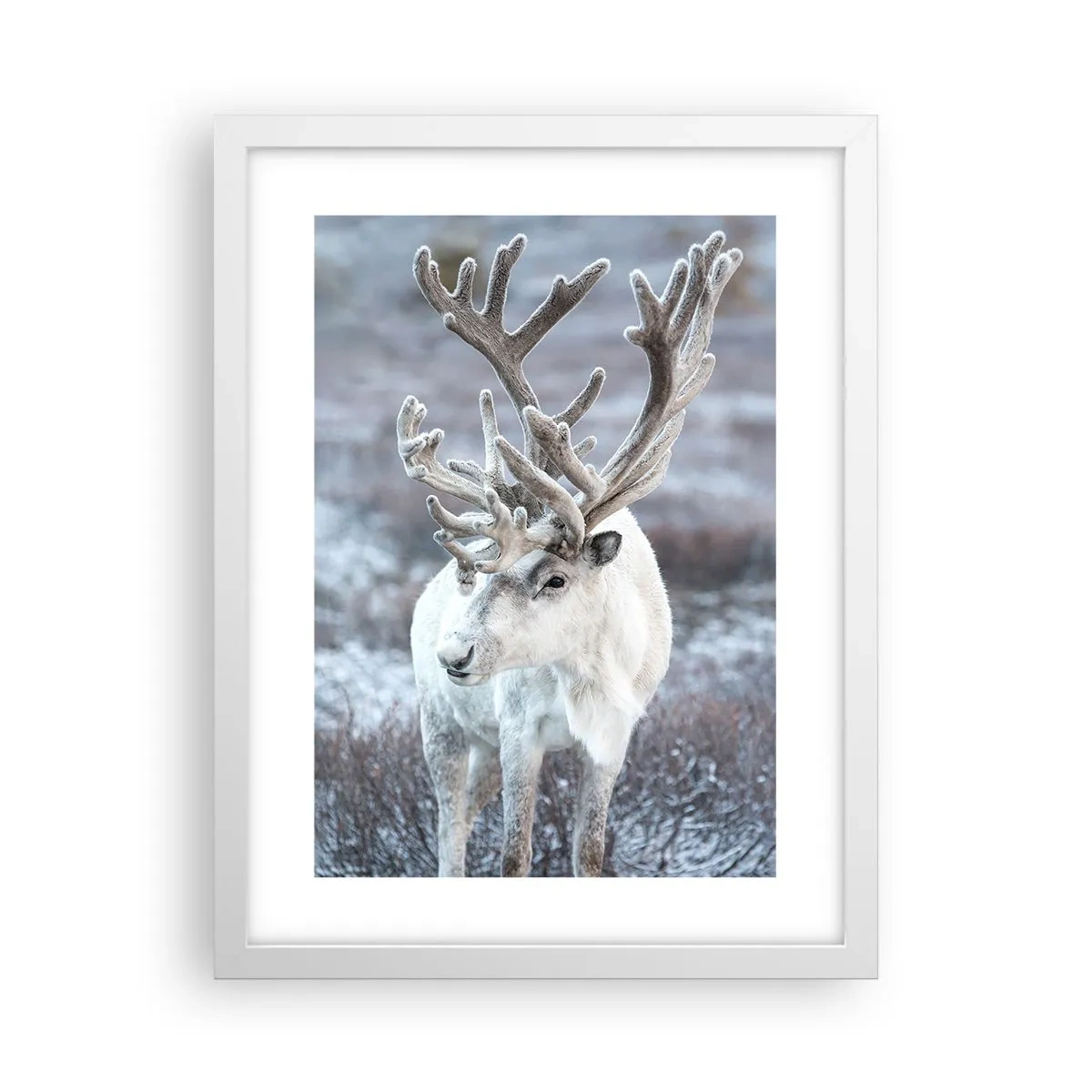 Poster in cornice bianca - Ritratto al sole - 30x40 cm