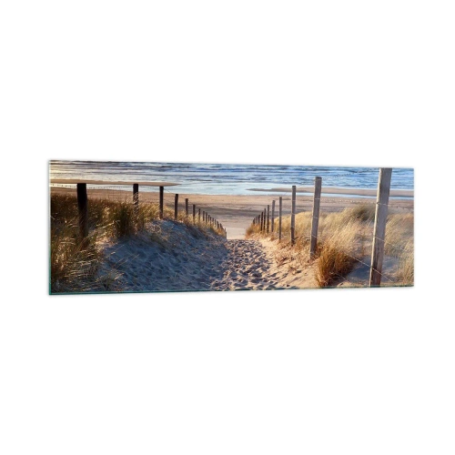 Quadro su vetro - Sentiero tra le dune che conduce alla spiaggia - 160x50cm - Rumore del mare, uccelli che cantano, spiaggia selvatica tra i cespugli... - Decorazione murale moderna per soggiorno e camera da letto ARTTOR