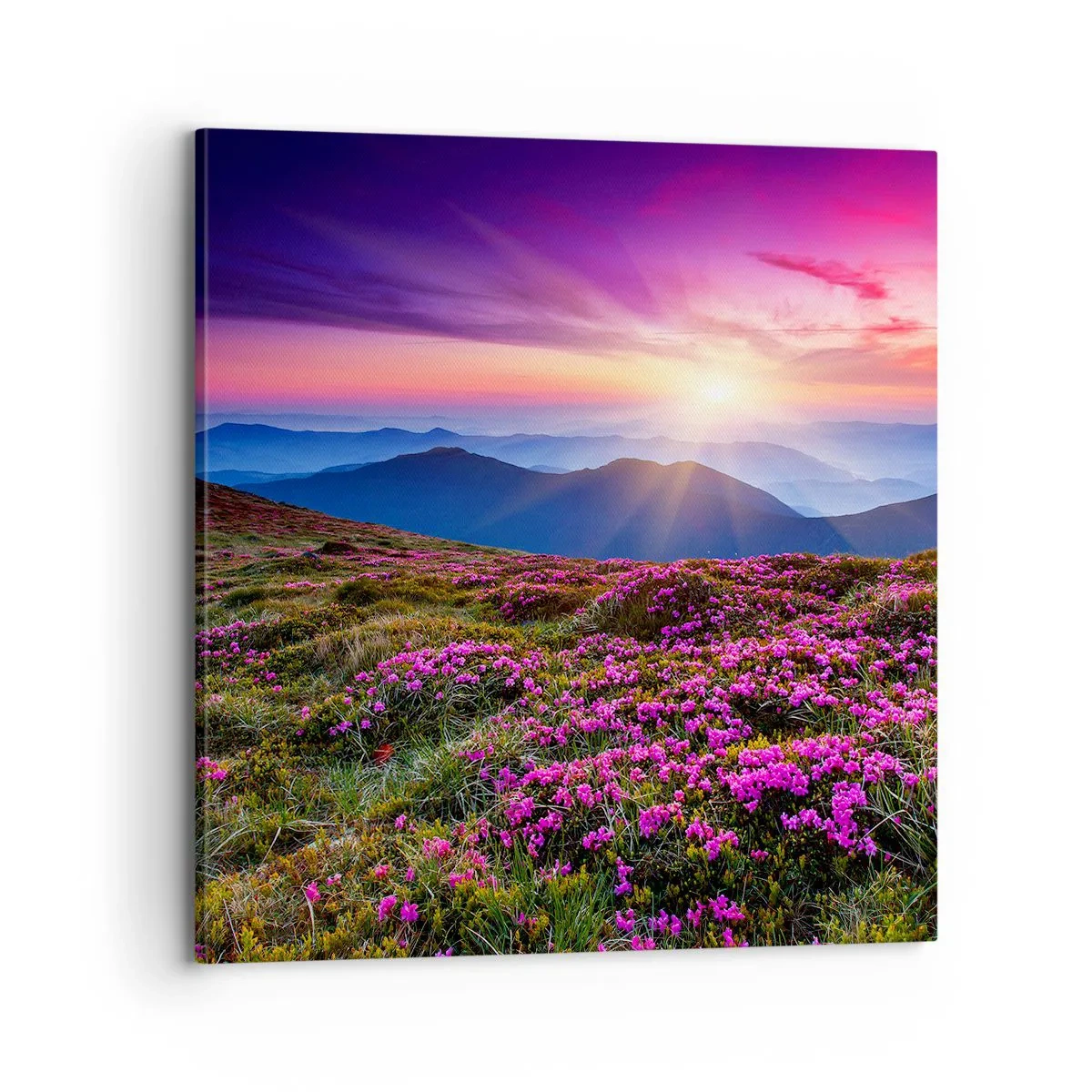 Quadro su tela - Stampe su Tela - Il profumo dei fiori freschi del campo - 70x70 cm