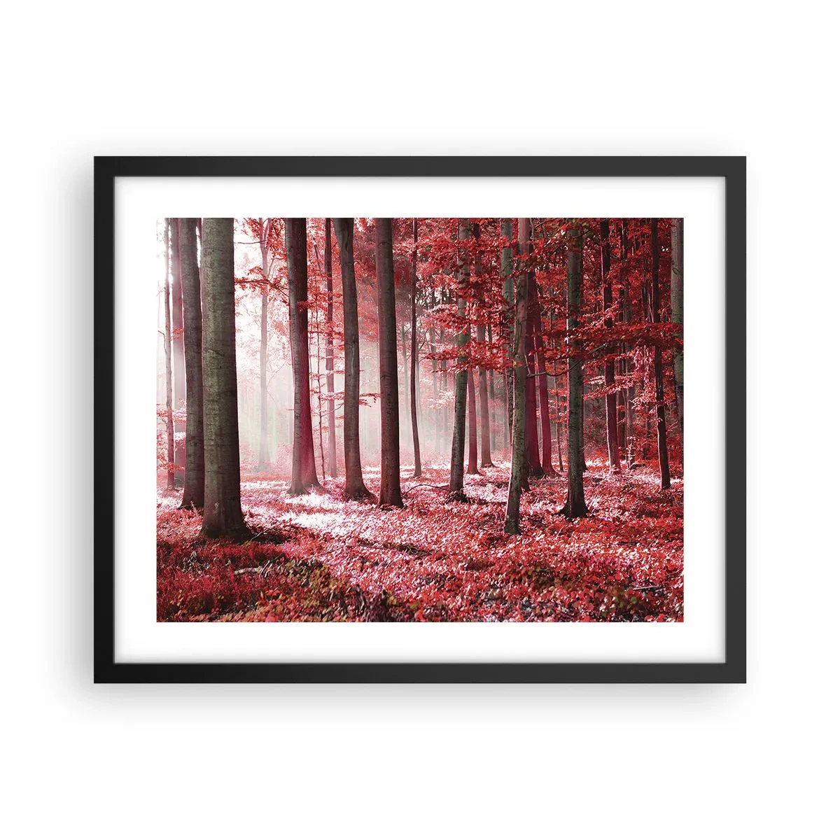 Poster in cornice nera - Anche rosso è bello - 50x40 cm