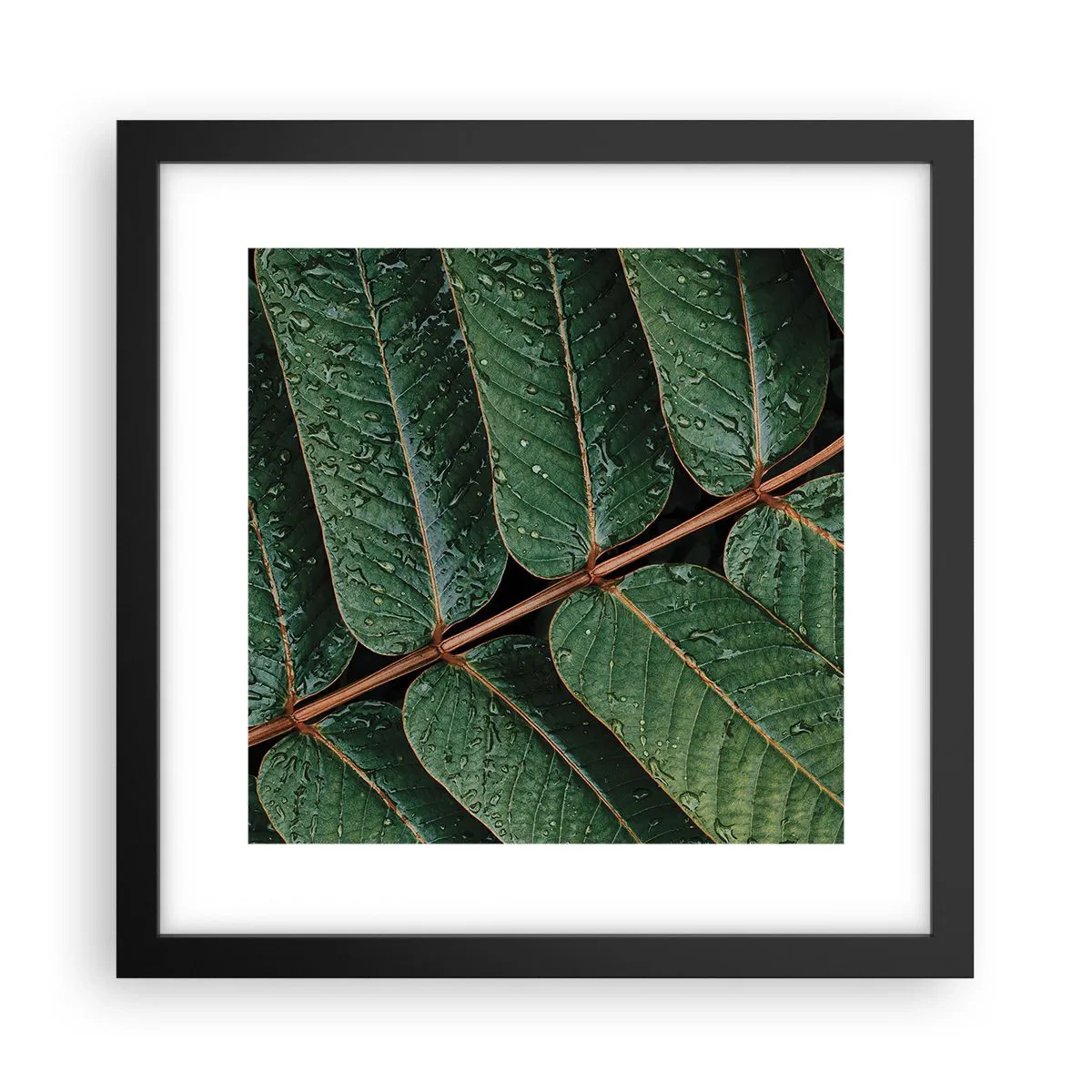 Poster in cornice nera - Al ritmo verde - 30x30 cm