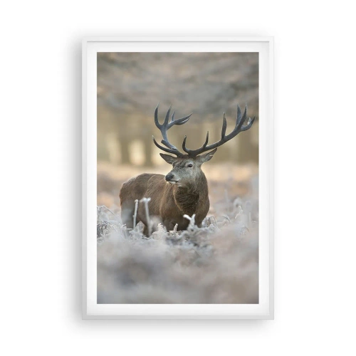 Poster in cornice bianca - Fresco mattino - 61x91 cm