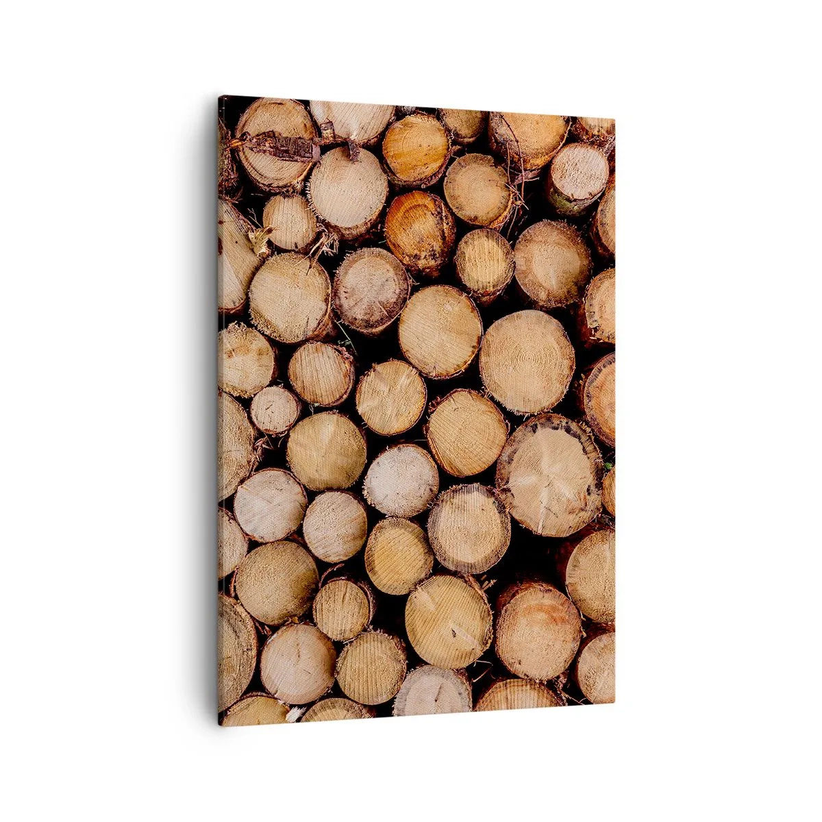 Quadro su tela - Stampe su Tela - Mucchi di tronchi d'albero abbattuti disposti in armonia - 50x70cm - Nuovo inizio - Decorazione murale moderna per soggiorno e camera da letto ARTTOR