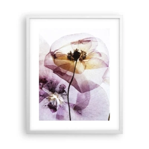 Poster in cornice bianca - Fiori trasparenti - 40x50 cm