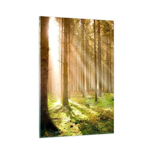 Quadro su vetro - Foresta di conifere con raggi di sole che brillano attraverso gli alberi - 80x120cm - Adesso appaiono gli elfi - Decorazione murale moderna per soggiorno e camera da letto ARTTOR