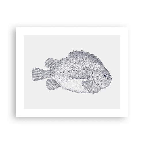 Poster - Nell'album del naturalista - 50x40 cm