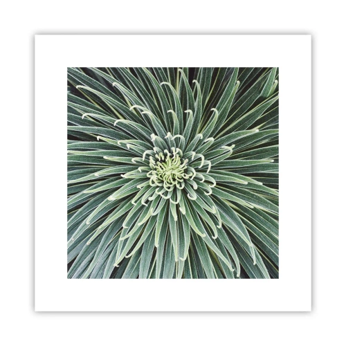 Poster - La nascita delle stelle - 30x30 cm