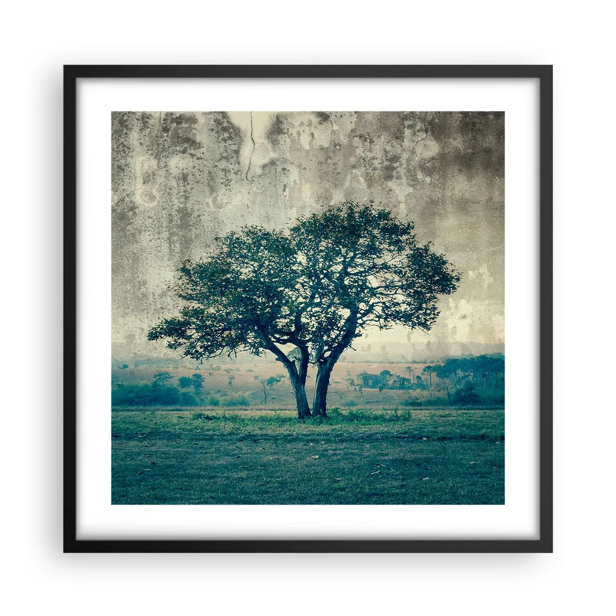 Poster in cornice nera - Un melo su un prato blu? - 50x50 cm