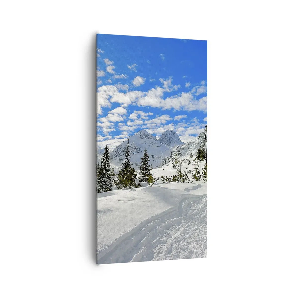 Quadro su tela - Stampe su Tela - Nella neve e nel sole - 65x120 cm