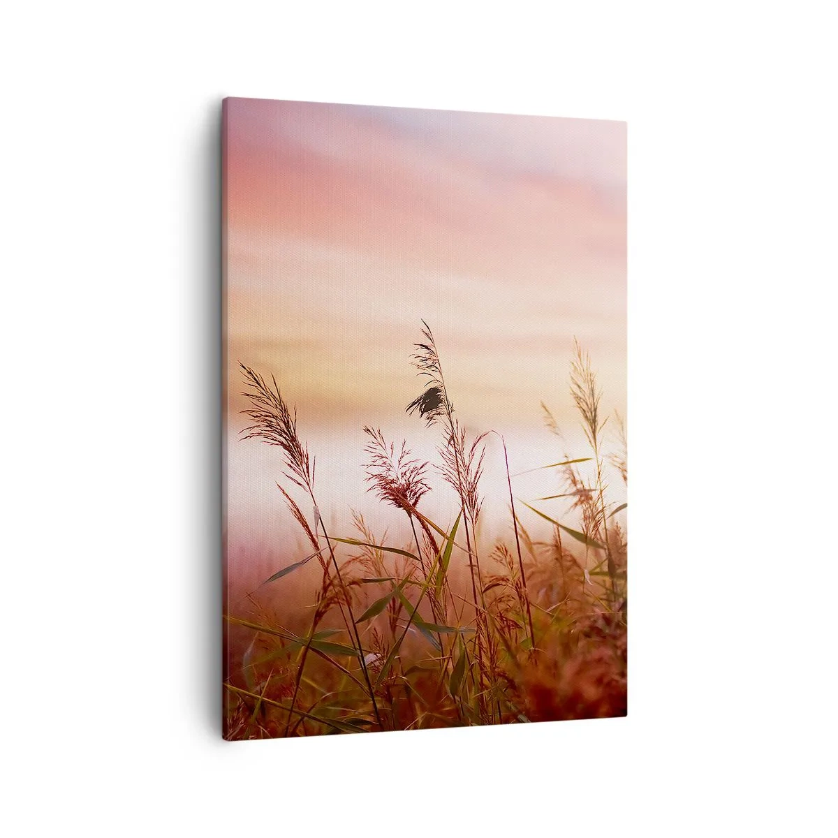 Quadro su tela - Stampe su Tela - Un campo d'erba sullo sfondo di un pittoresco tramonto - 50x70cm - Aquiloni, denti di leone, vento - Decorazione murale moderna per soggiorno e camera da letto ARTTOR