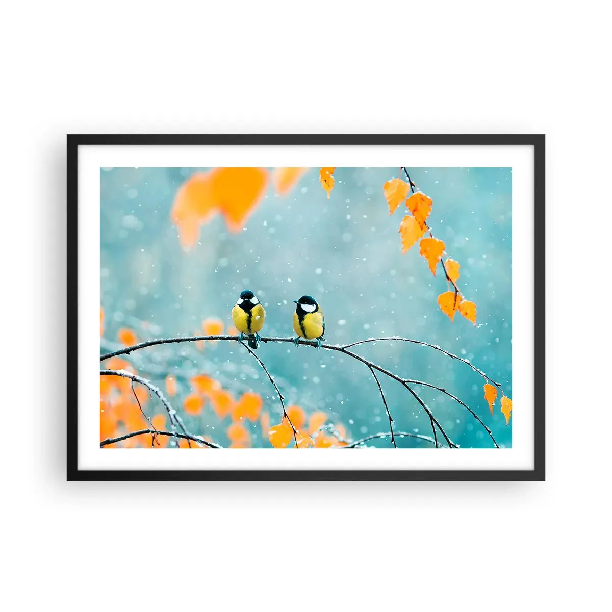 Poster in cornice nera - Due uccelli su un ramo in un ambiente invernale con foglie gialle. - 70x50cm - Pettegolezzi alati - Decorazione murale moderna per soggiorno e camera da letto ARTTOR