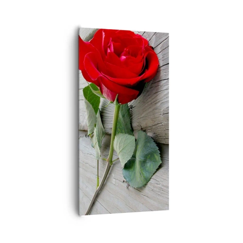 Quadro su tela - Stampe su Tela - Studio in scarlatto - 65x120 cm