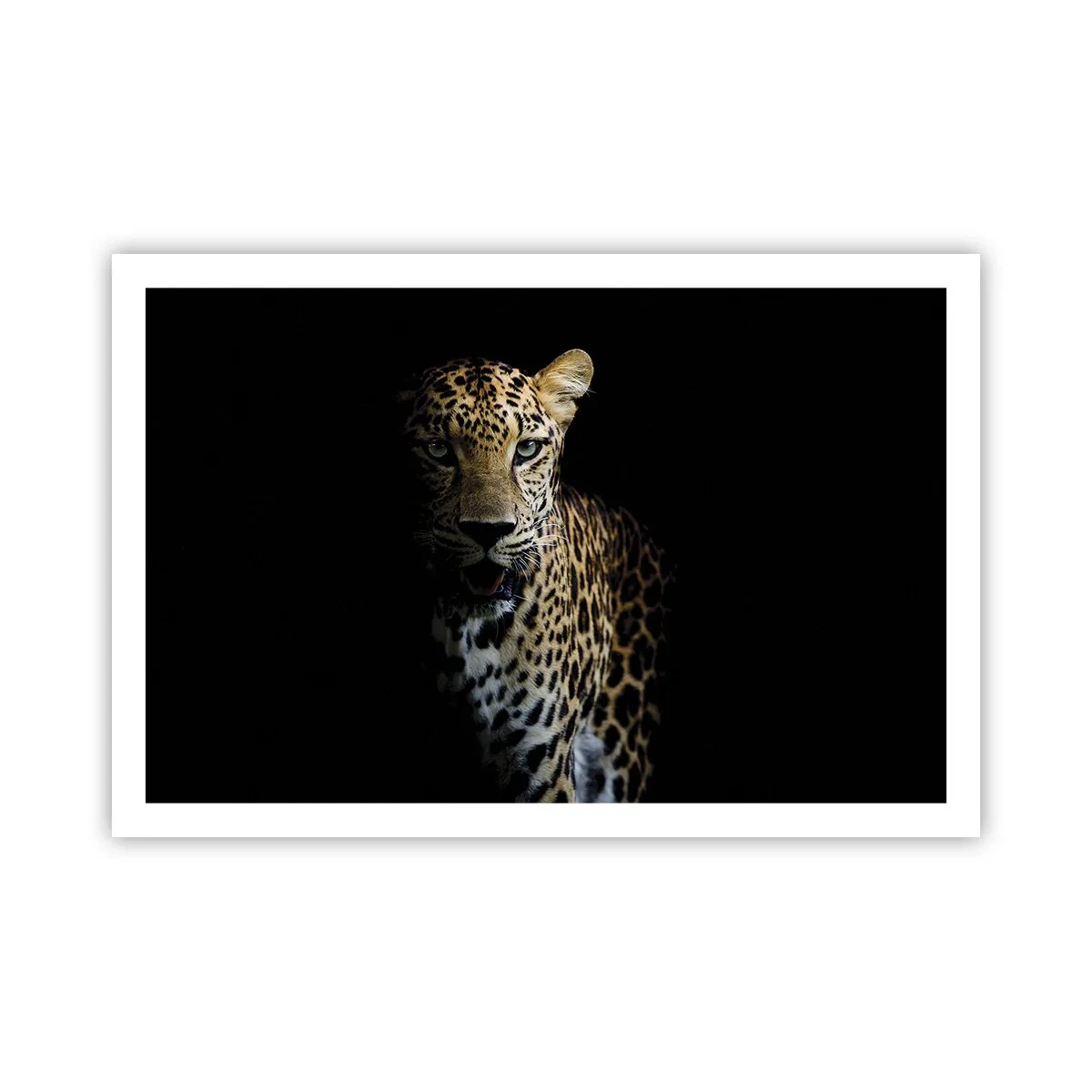 Poster - Bellezza tenebrosa - 91x61 cm