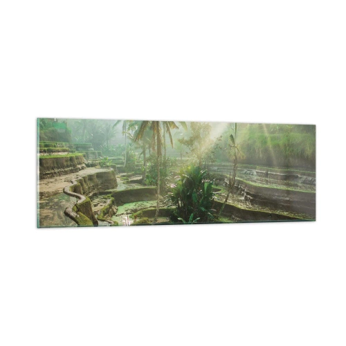 Quadro su vetro - Crescere al sole - 90x30 cm
