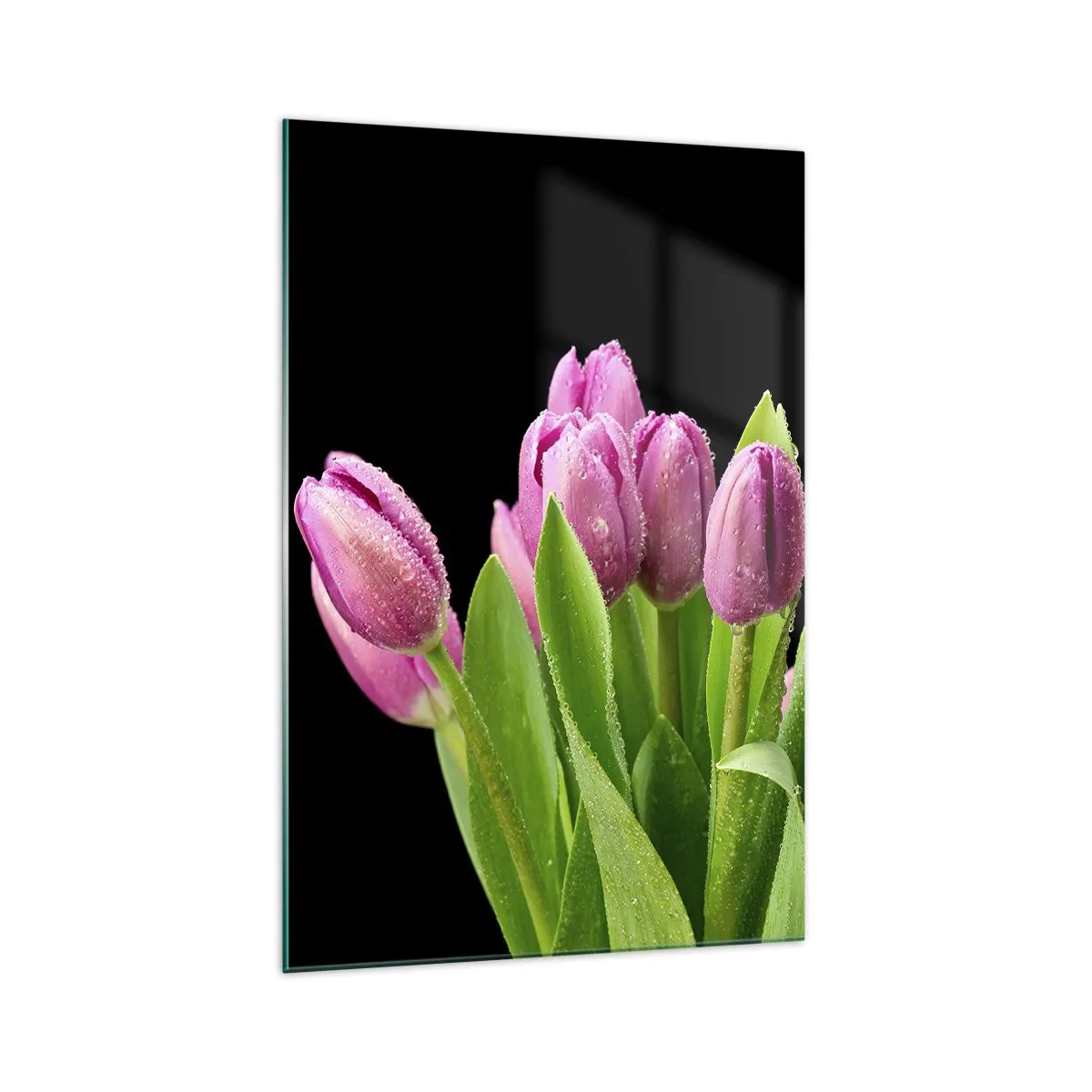 Quadro su vetro - Tulipani rosa con gocce di rugiada su sfondo nero - 70x100cm - Gioia lilla della primavera - Decorazione murale moderna per soggiorno e camera da letto ARTTOR