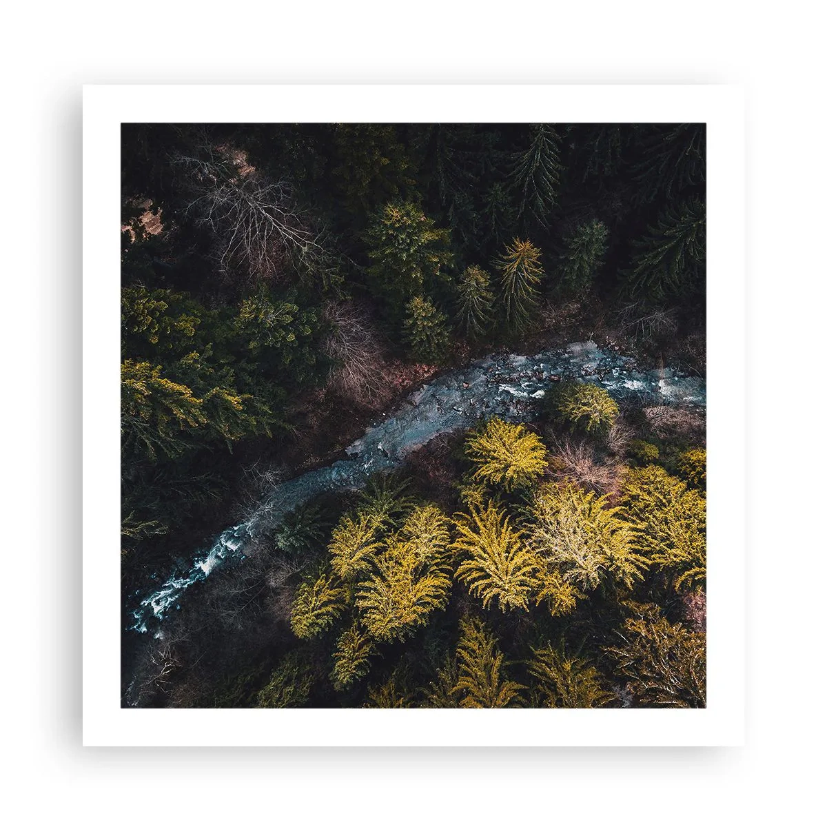 Poster - Sempre più veloce - 60x60 cm