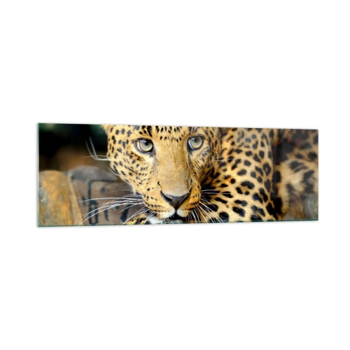 Quadro su vetro - Ritratto di un leopardo nel suo ambiente naturale - 160x50cm - Non temere, avvicinati - Decorazione murale moderna per soggiorno e camera da letto ARTTOR