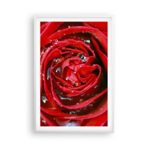 Poster in cornice bianca - Nelle gocce della rugiada - 61x91 cm