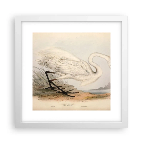 Poster in cornice bianca - La signora nel canneto - 30x30 cm