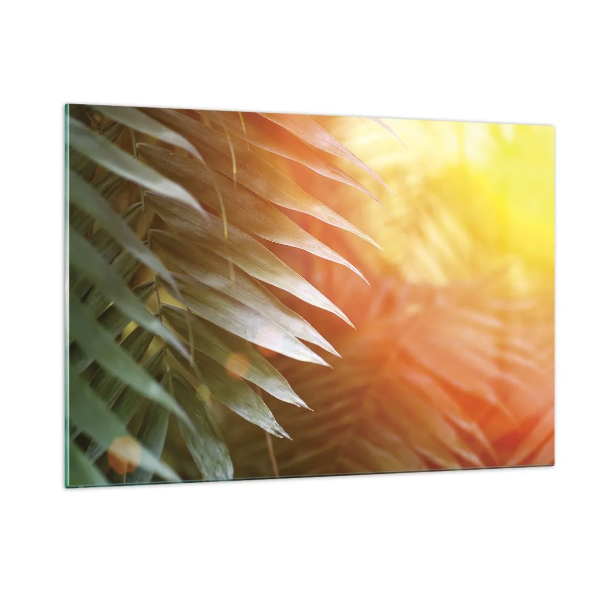 Quadro su vetro - Foglie di palma al chiarore del sole mattutino in un ambiente tropicale - 120x80cm - L'alba nella giungla - Decorazione murale moderna per soggiorno e camera da letto ARTTOR
