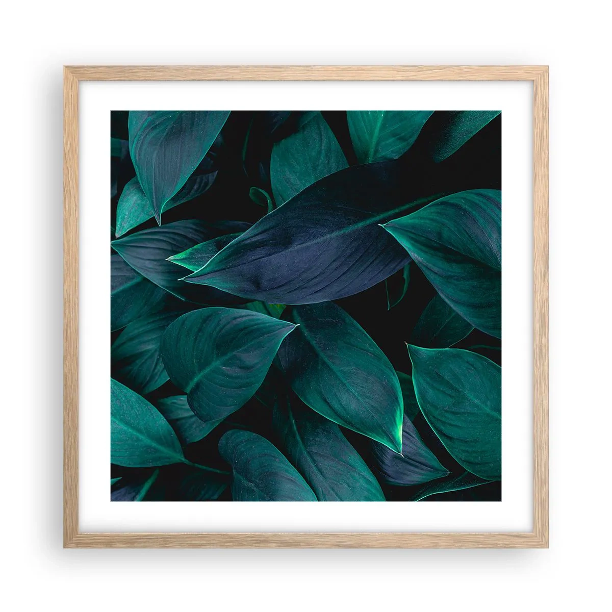 Poster in cornice rovere chiaro - Il verde puro - 50x50 cm